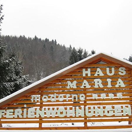 شقة Haus Maria تودتناو المظهر الخارجي الصورة